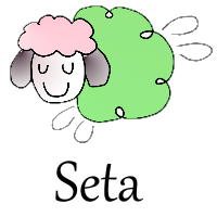 Seta